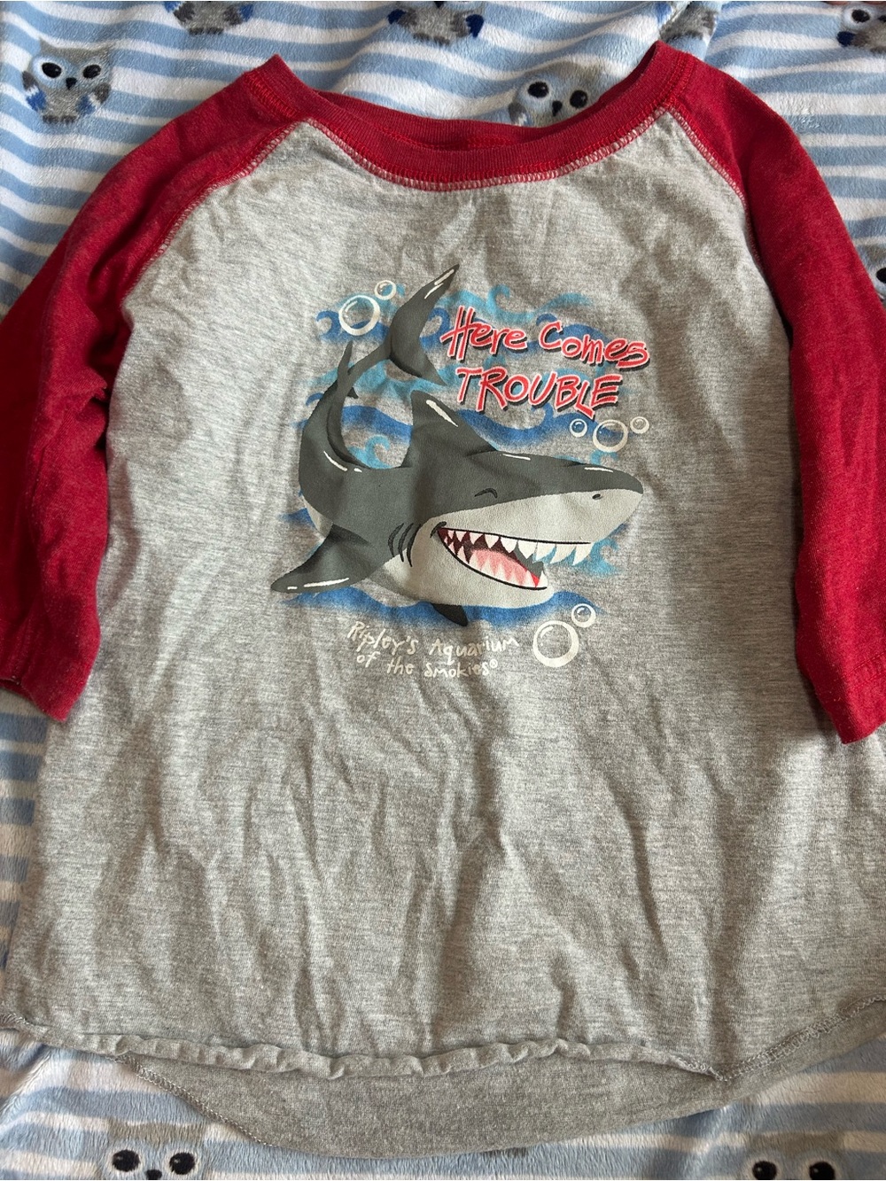 Kids 'Here Comes Trouble' Shark Raglan Shirt - Red Sleeves, Gray Body